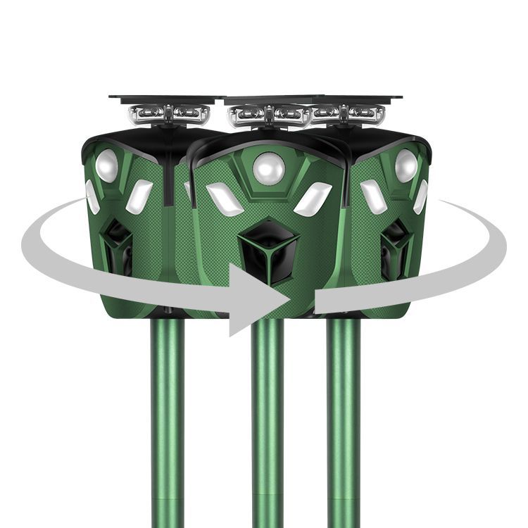 may_duoi_chuot_ngoai_troi_1